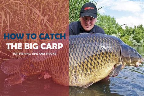 Big Carp Tackle.